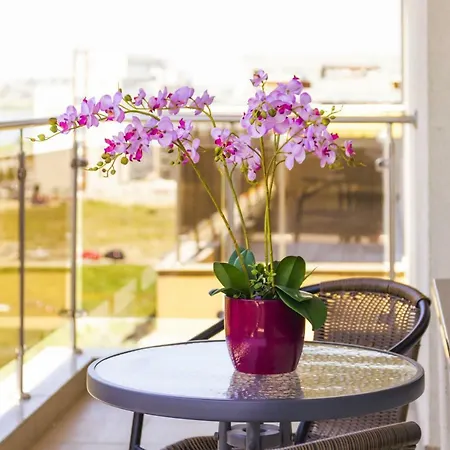 Orchid Seaview Summerland * Mamaia